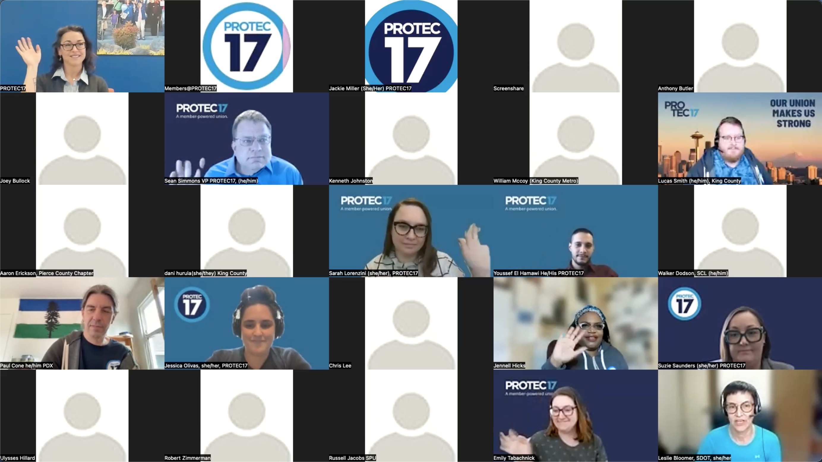 A photo of PROTEC17 members on Zoom at the Feb.2022 REC meeting