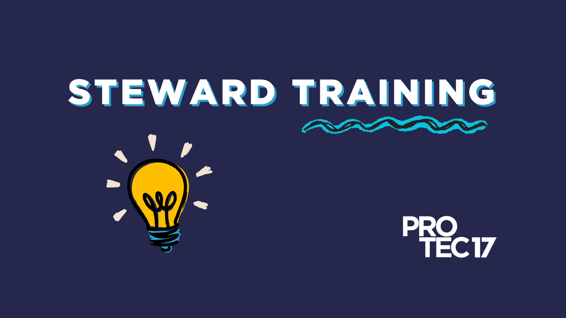 On a dark blue background, white text with a blue shadow reads, "STEWARD TRAINING." There is a scribble-style graphic that underlines the word, "TRAINING." There is a graphic of a light bulb to the right, with emphasis lines to show that light is emitting from the bulb. The PROTEC17 logo is in the bottom right.